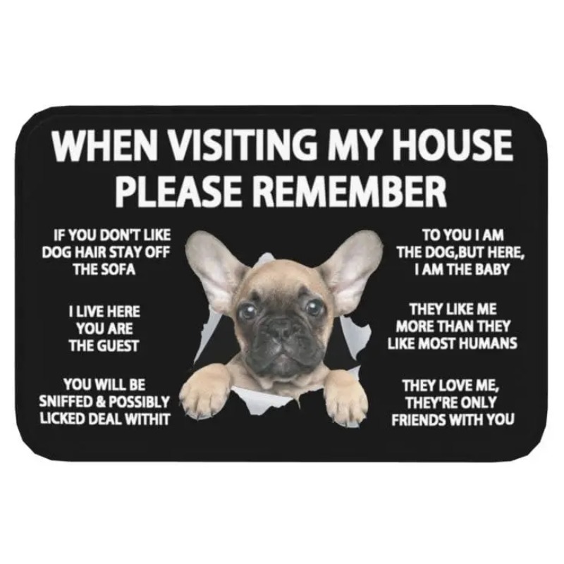 Pet Doormat When Visiting My H - Bathroom Home Visit 评论和价格