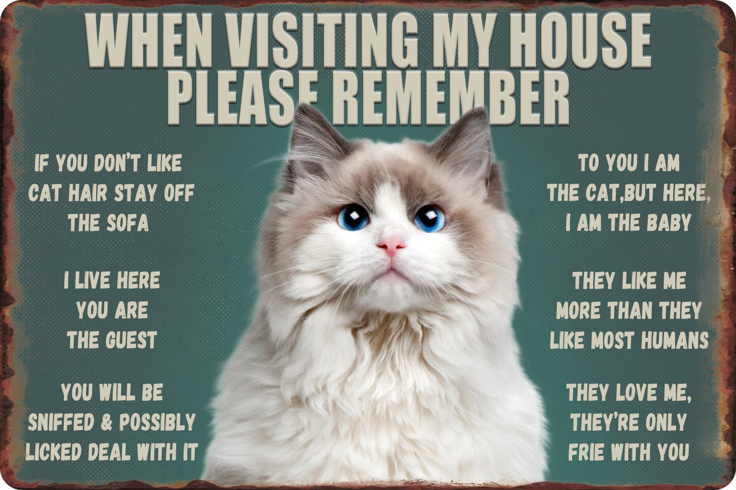 Funny Cat Metal Tin Sign - Whe - Bathroom Home Visit 评论和价格