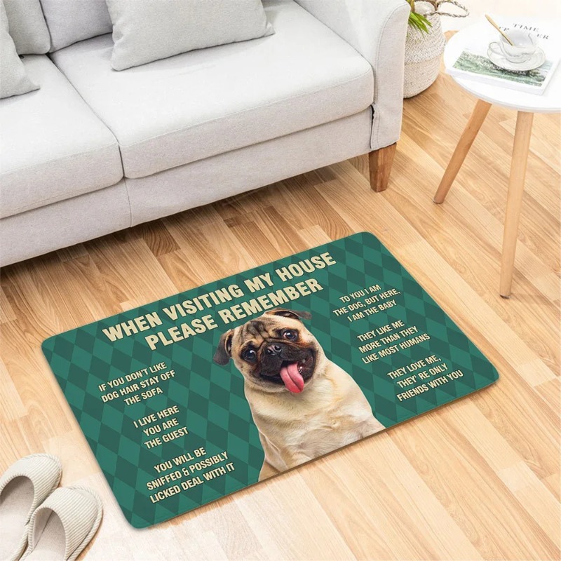 Dog Funny Door Mat Small Carpe - Home Bathroom Reno 评论和价格