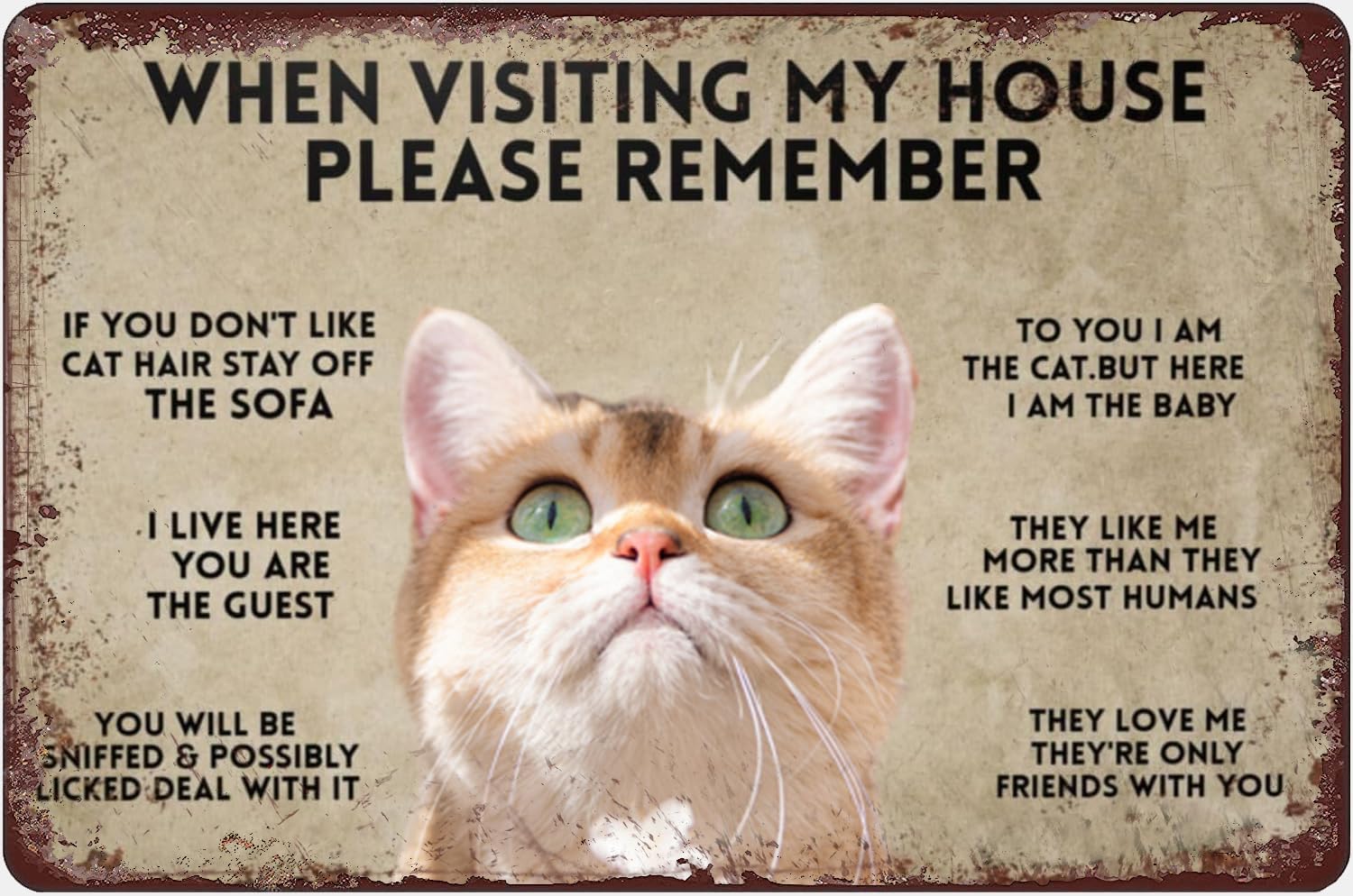 When Visiting My House Please  - Bathroom Home Visit 评论和价格